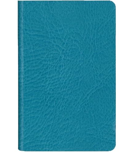 Amazon.co.jp: ダイゴー すぐメモ差替リフィル 横罫 大 3441 : 文房具